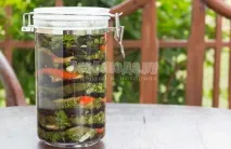 Мариновані баклажани з болгарським перцем, рецепт маринованих баклажанів з покроковими фото болгарським