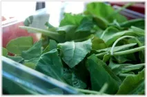 Макарони з куркою швидкого приготування, Кулінарні записки дилетанта кулінарні
