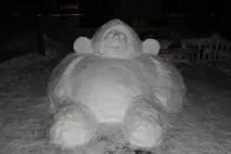 снежни клас