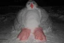 майсторски клас