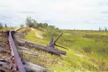 игарка значителна част