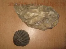 Майстер-клас Вироби з черепашок черепашки