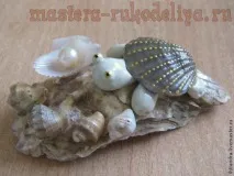Майстер-клас Вироби з черепашок майстер-клас