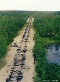 мъртъв салехард