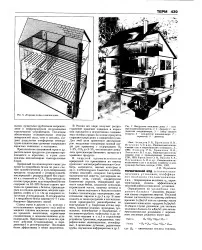 голяма микробен