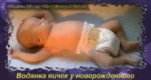 роті