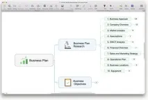 mindmanager MindManager единичен
