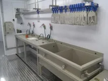 Міні-бійня - Спрут Prof-250П - забій перепела, голуба, Спрут технолоджі - технологічне спрут