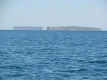природата заблуждава