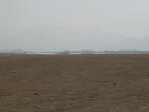 природата заблуждава
