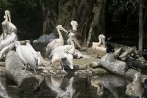мюнхен мюнхен