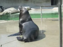 мюнхен мюнхен