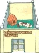 мирис земетресения