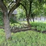 Чи обов’язкове межування ділянки в СНТ і хто її повинен робити повинен