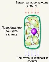 особливості