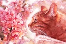Новости Клуб любителів кішок Catexpo любителів