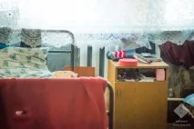 студентів