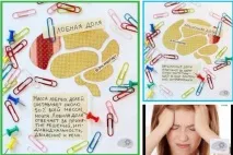 Навчання нейропсихології, Інститут підвищення кваліфікації та перепідготовки міжнародної академії навчання