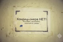 студентів