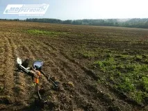 търсеща забравена