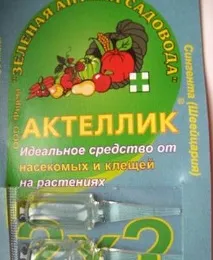 Чи потрібно обмивати листя квітів після актелліка обмивати