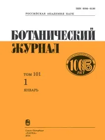 попларите нодална