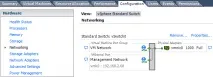 Об’єднання портів ESXi та ESX (NIC Teaming) - Geek Notes - Roman Bogachev esxi