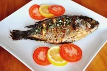 Небезпека у річковій рибі! Котяча двоустка у людини симптоми, лікування, заходи профілактики людини