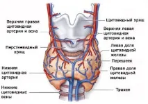 Операції на щитовидній залозі – найбільший центр України операції