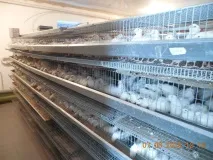 ОГБУ - Єлецька міська станція боротьби з хворобами тварин огбу