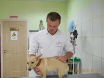 ОГБУ - Єлецька міська станція боротьби з хворобами тварин огбу