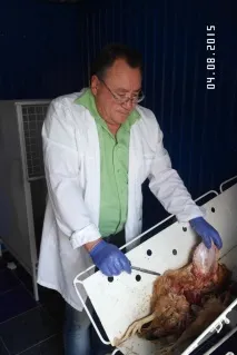 ОГБУ - Єлецька міська станція боротьби з хворобами тварин єлецька