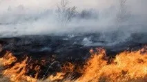 Отруєння оксидом вуглецю симптоми, перша допомога, наслідки отруєння