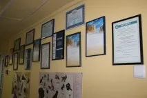 титъра проектиране