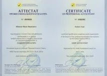 професионалните счетоводители