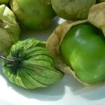 тази култура зеленчуков