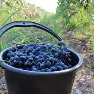 Співпраця з турагентствами співпраця
