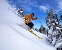 изглежда алпийски