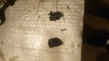 foriks нормалното foriks нормалното