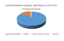 Слива Венгерка опис та характеристика сорту венгерка