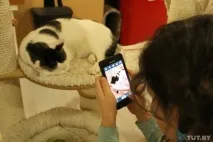 пазете вируси безопасно