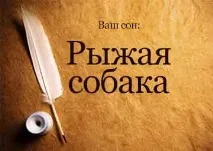 Сонник Руда Собака велика ласкава жінці бачити уві сні до чого сниться сонник