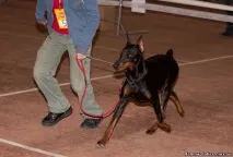 сергіус