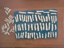 змиорка фурна