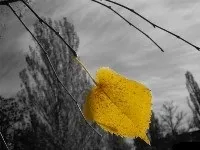 Чому людям погано погано