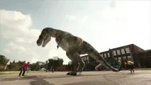 защо включите
