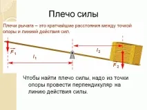 сила сила
