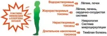 Пластир для стоп ☯ інструкції, читайте на стоп