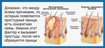 являються
