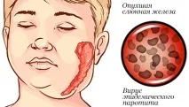 Правилното хранене правилното